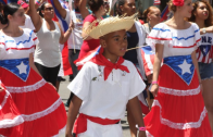 Have you Seen the National Puerto Rican Day Parade Website?