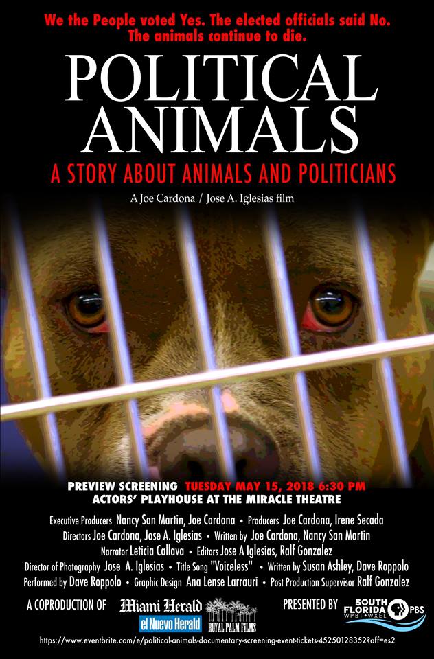 Joe Cardona’s Award Winning Film “Political Animals”